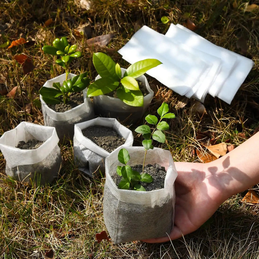 100/1000pcs Degradable Non-woven Plant Grow Bags Sapling Seed Nursery Bag Grow Pockets Planting Cultivation Pouches Garden Tools Le Coin Vert