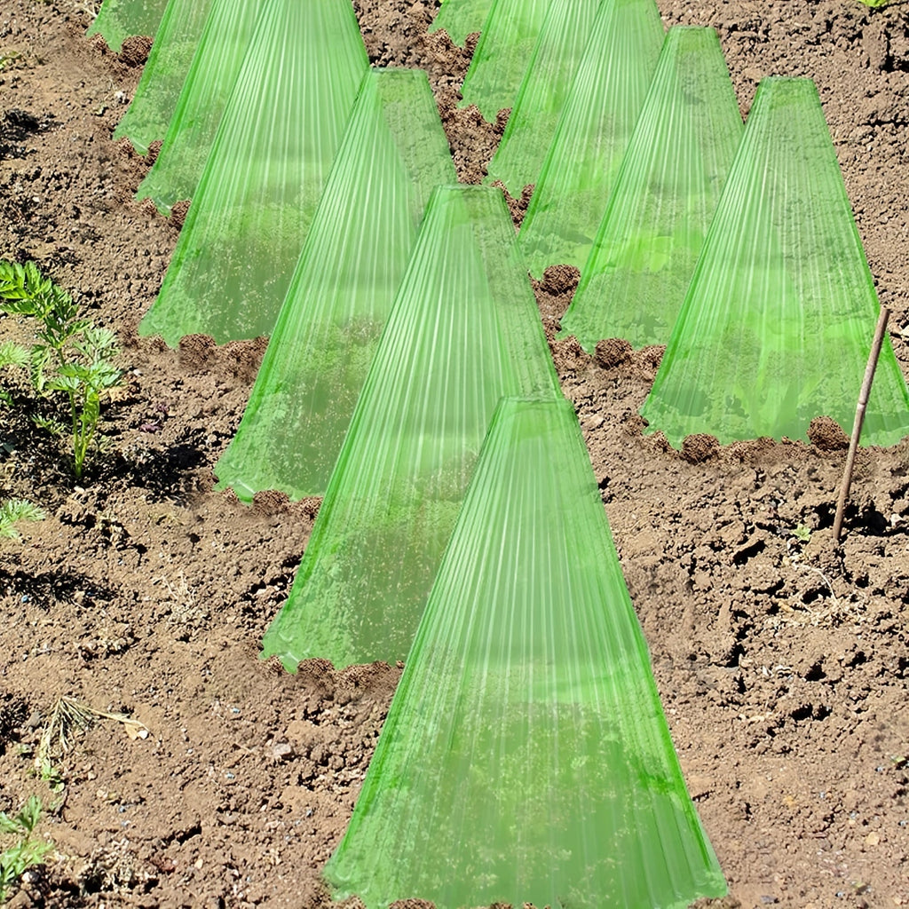 Cloche a protection Le Coin Vert
